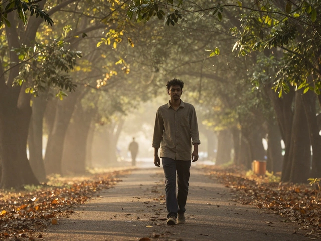 How to Solve Psychological Problems: Practical Steps Anyone Can Take